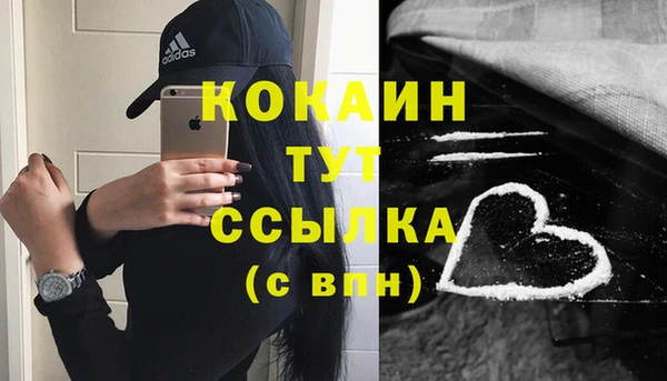 соль курить ск Заводоуковск