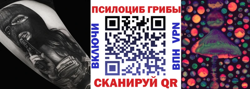 наркота  Рошаль  Псилоцибиновые грибы Psilocybine cubensis 